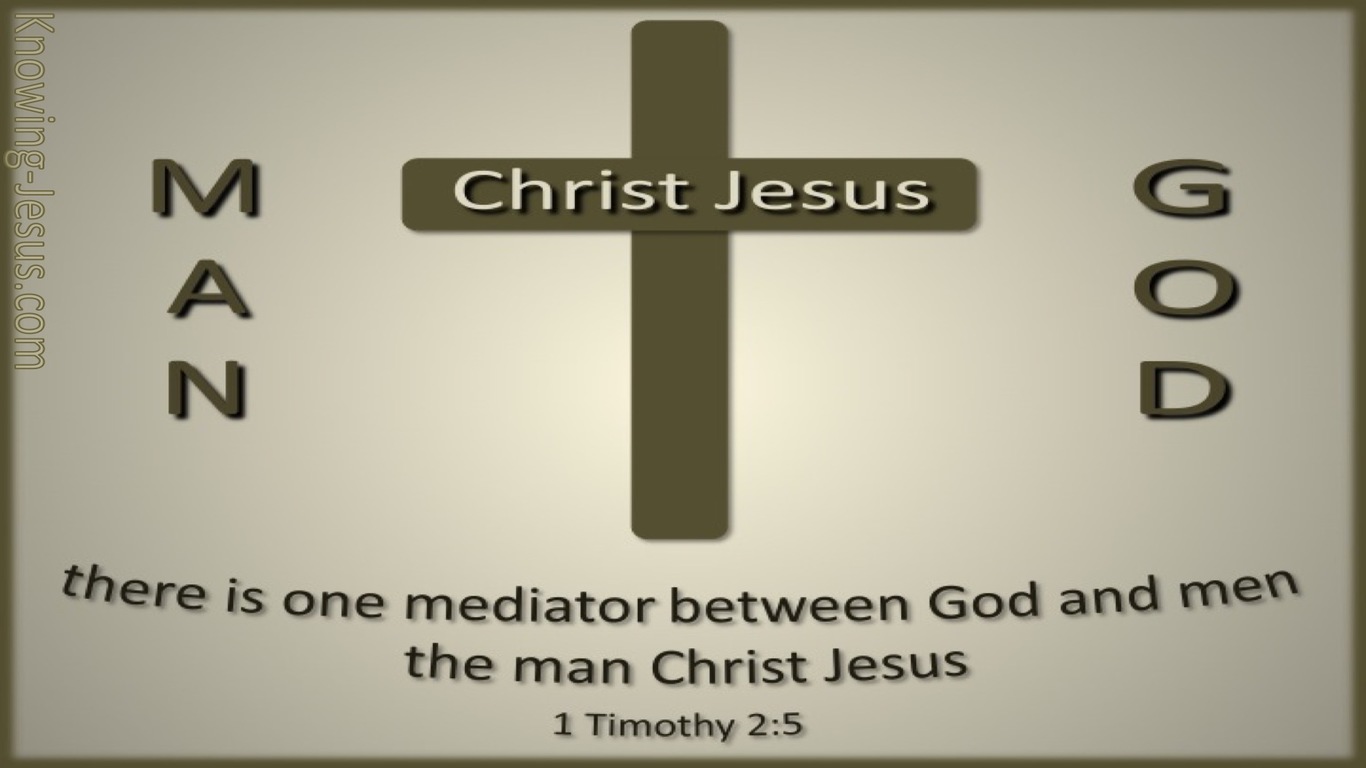 1 Timothy 2:5 One Mediator Between God And Men (gray)